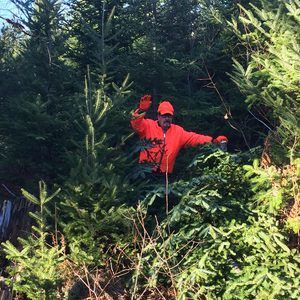 Meet your Posher, Frank